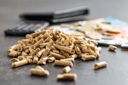 wooden-pellets-biofuel-with-euro-money-ecologic-2025-03-13-12-20-20-utc (1).jpg